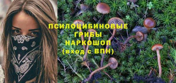 соль ск Новокубанск