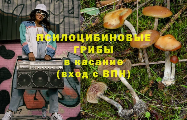 круглые Новодвинск