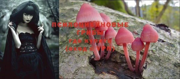 MDMA Premium VHQ Новозыбков
