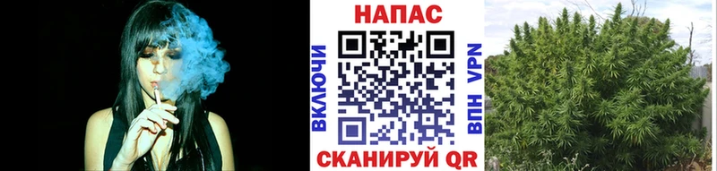 маркетплейс официальный сайт  Кадников  МАРИХУАНА Bruce Banner  где купить наркоту 